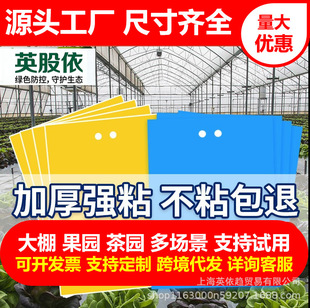 �p��ճ�x���T�x��մ�x�����S���{ɫ��x�N�x������x���z�p���T�x
