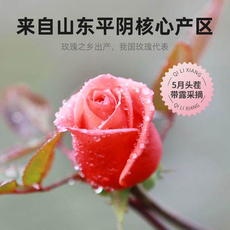 【Qili Fragrance】Rose Tea Double Layer Roses 50g Dried Rose Buds Rose Bud Flower Tea Brew Tea Brew Water