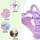 Hot wholesale new cross-border chest strap flush vest pet supplies dog leash dog chain