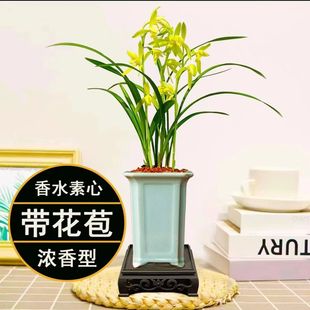 ���F�m�����ļ����m�҃ȿ͏d�������ԾGֲ�Լ��m����1���m����
