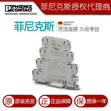 �����˹��̬�̵���ģ�� - PLC-OSC- 24DC/ 24DC/ 10/R - 2982702