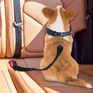 Cross-border in-car pet supplies cat and dog safety belt fixed traction rope pet collar Amazon hot sale