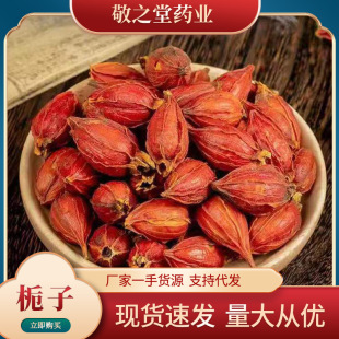 栀子中药材批发 红栀子 水栀子 栀子茶 产地直供 量大代打栀子粉-阿里巴巴