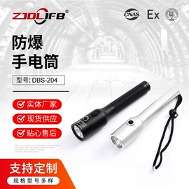 防爆灯;手电筒;LED防爆手电