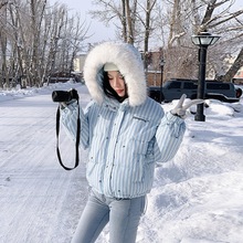 外贸条纹印花加厚保暖羽绒棉服外套女新款韩系甜美毛毛翻领棉衣潮