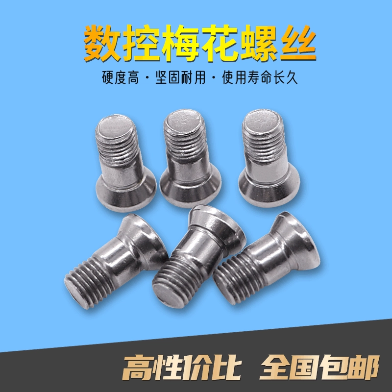 Аксессуары для инструментов с ЧПУ винт с лезвием R4/R5/R6/R8/R10/R12.5 Винт с торцевой головкой Torx