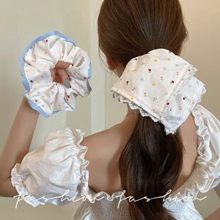 ��ʽ�ٽz߅�Շ����黨�������c�lȦ�¿���Rβ�l�K㼑��L�^���^�K