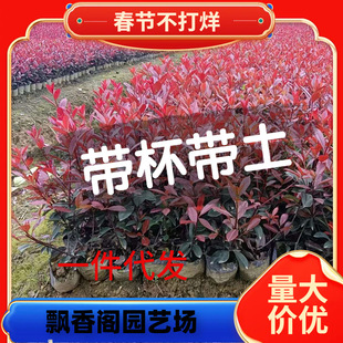 һ�����l�t�~ʯ骘��玧����������ͥԺ�G�������ļ����G����t