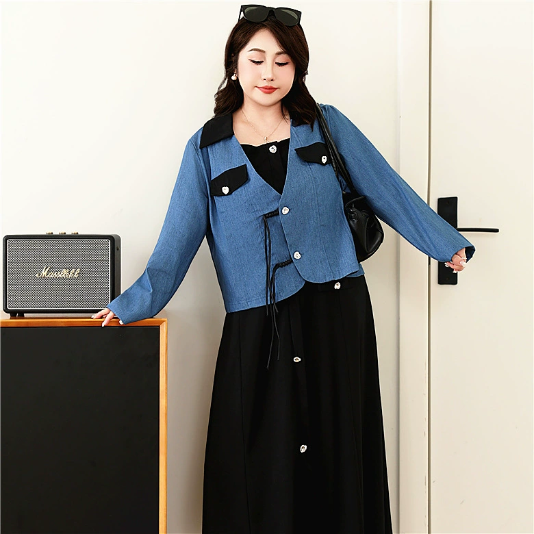 Denim jacket, set, fitted dress, plus size