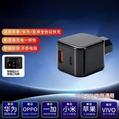 Electric Vehicle Mobile Phone Charger Fast Charging 12V48V60V72 Volt Battery Universal USB Car Charger Converter Plug (Mobil şarj cihazları) - new-national-standard-electric-vehicle-on-board-charger