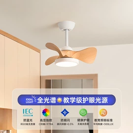 吸顶灯;吊灯;风扇灯