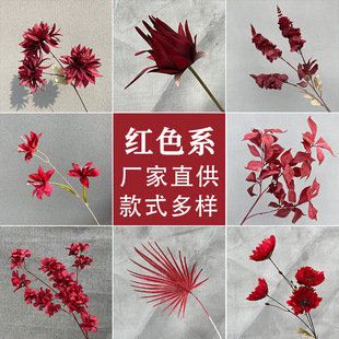 ��Y���滨õ�廨�ļtɫϵ�Ƶ�ٻ��͏d���ϔ[����c�������l·��