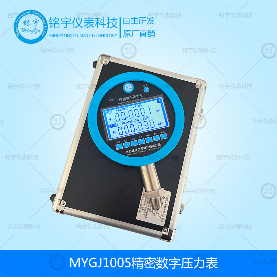 MYGJ1005精密数字压力表