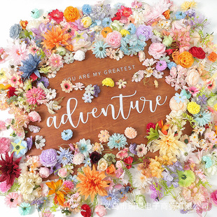 ��Ϸ��滨 diy�����ȌWʿñ�^��Ϲ��L�����b��f�}������ٻ�