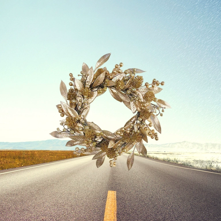 花惹草 Christmas decorations, 2022, (Cross-border trading)
