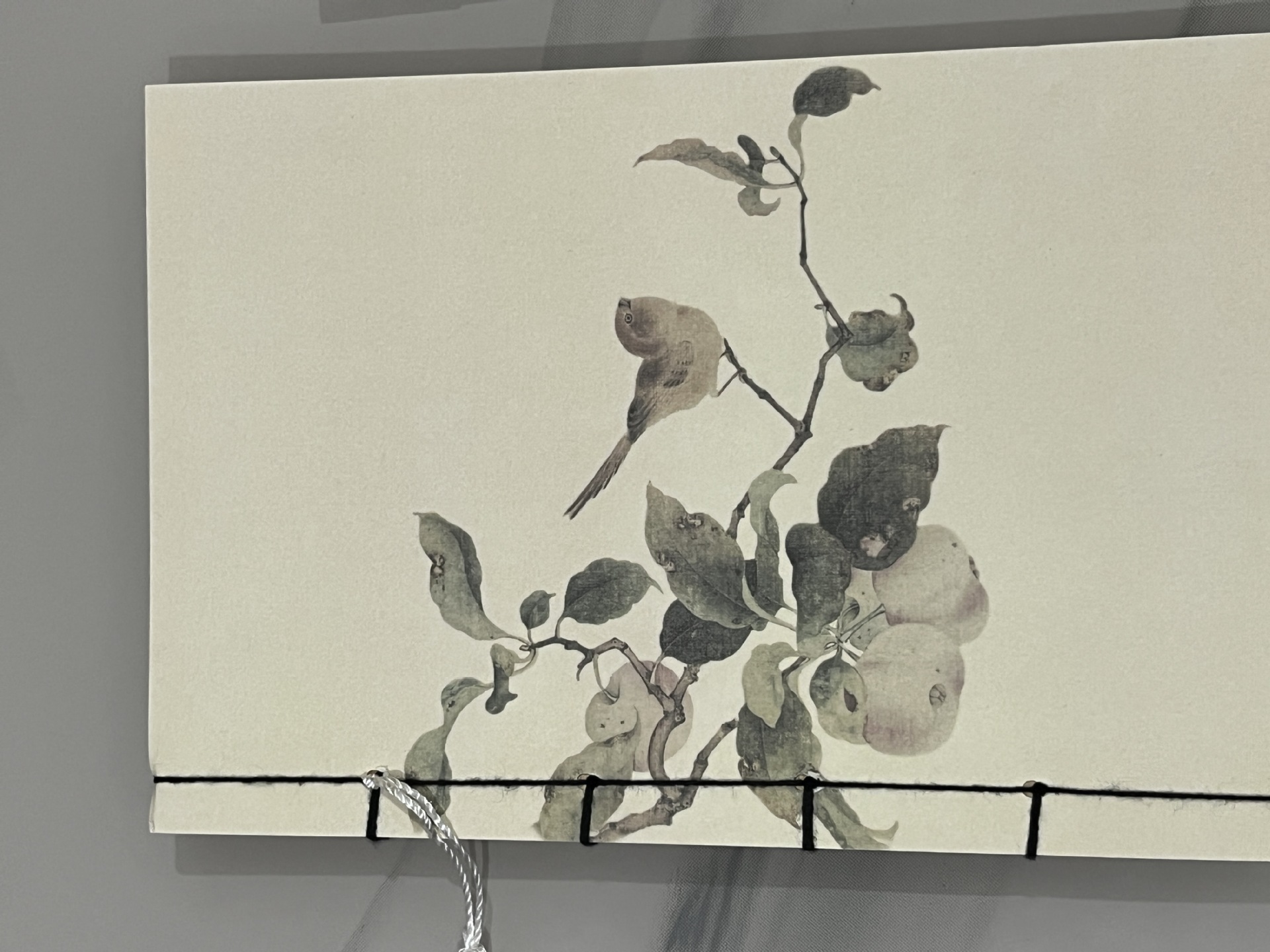 익은 과일과 가금류 그림(빈 크라프트지)