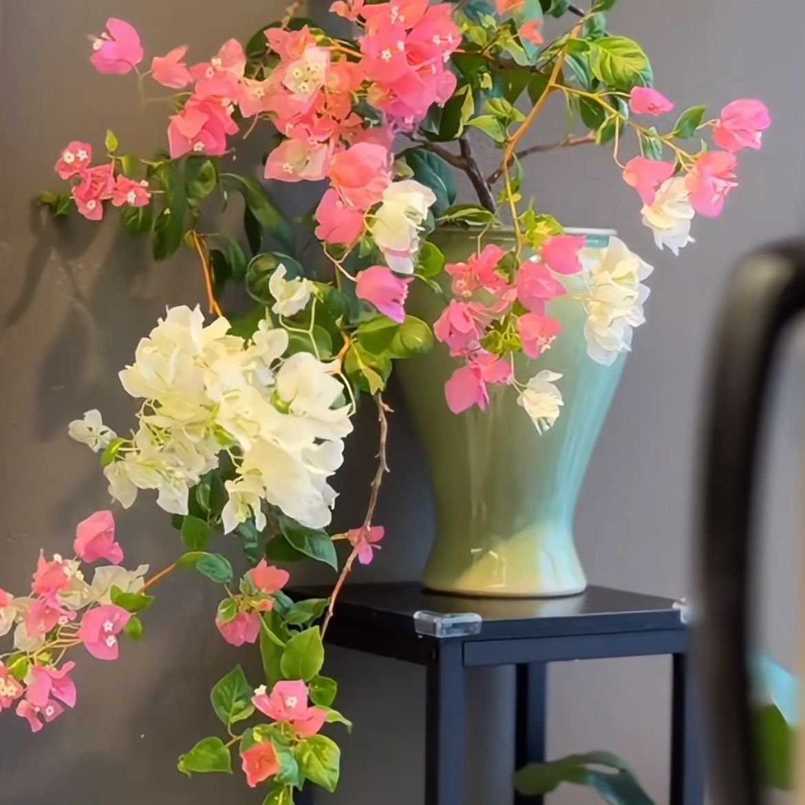 三角梅耐寒大盆四季开花阳台老桩花卉防辐射净化空气绿植厂家直销