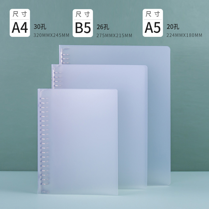 A4/30 홀/투명 빈 클램프