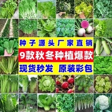 ļ߲˷NӴײ˷NӰlѿʸ߲ѸN߲˷NӴȫlZ