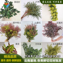 云南直批季节各类叶材山货鲜切木本鲜花森系婚庆婚礼小众花材批发