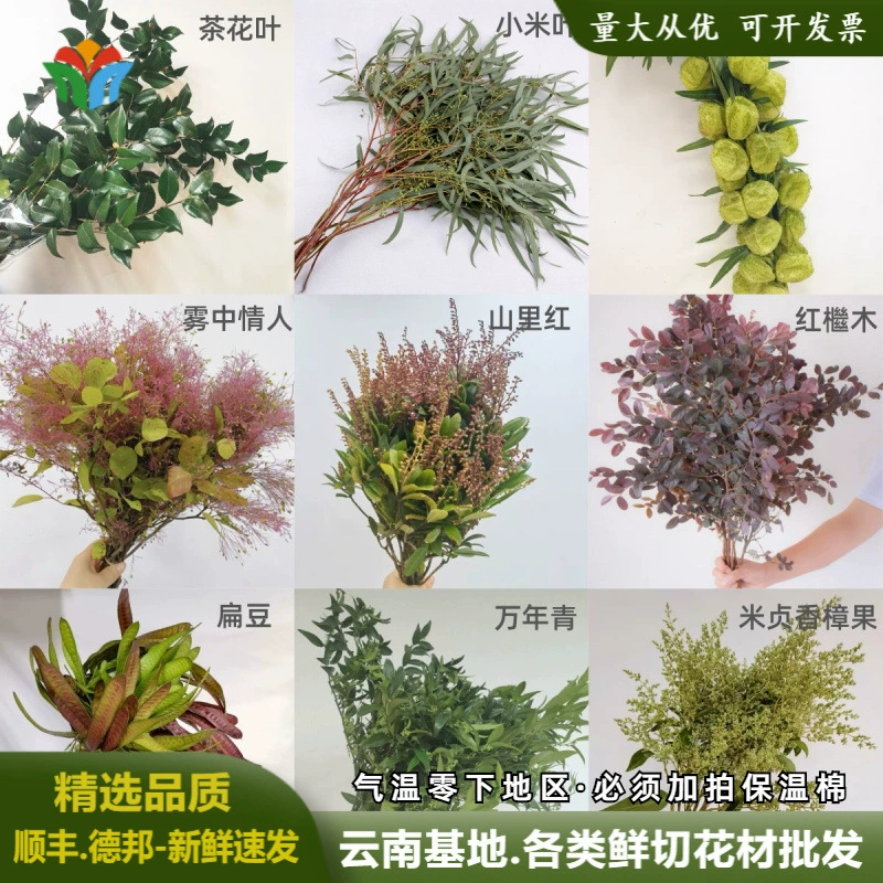 Юньнань прямая партия различных видов листовых материалов в сезон