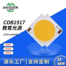 COB光源19*19低蓝光教育照明灯珠Ra95无蓝光台灯摄影COB led灯珠