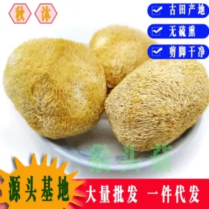 Gutian Hericium Сушеный порошок гериция Сырье для гериция, нарезанные корни и ножки, не содержащий серы порошок гериция, оптовая продажа, экспортный сорт