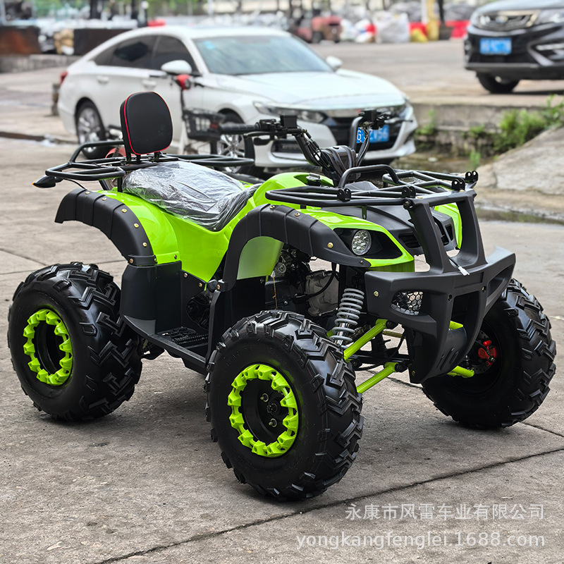 Cuatrimoto Todoterreno 4x4 250cc de Hierro y Plástico con Inicio Eléctrico para Montaña