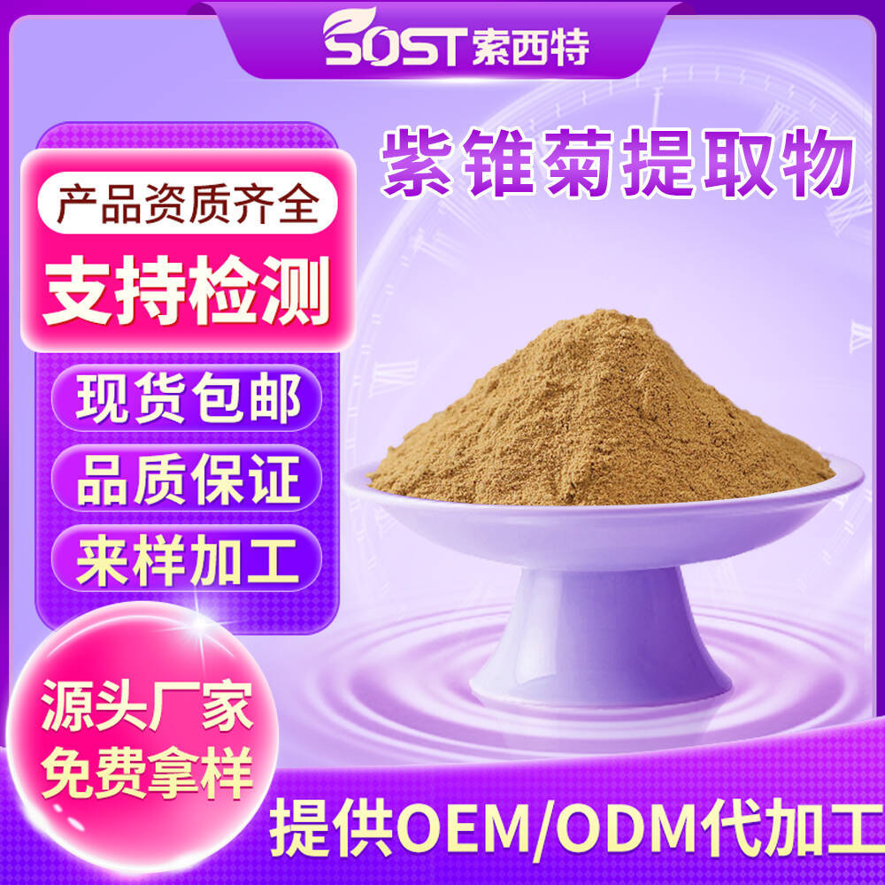 紫锥菊提取物 紫锥菊粉 紫锥菊多酚4% 菊苣酸4% 源头工厂 可寄样