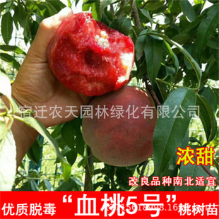 ��֬���Ҽ޽����ɼt�Ҙ���ˮ�����\���S���箔��Y����ӳ˪�t����