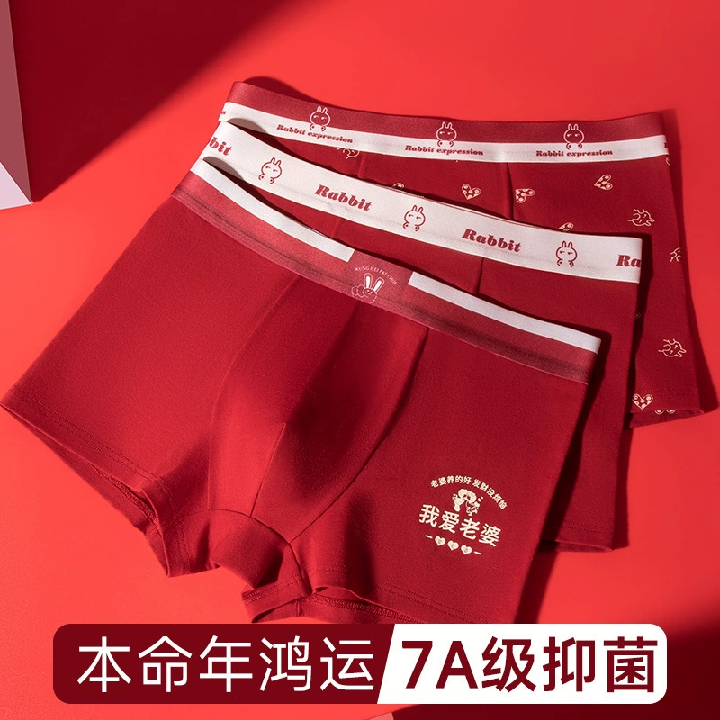 Ненормальные трусики мужские хлопковые осенью и зимой