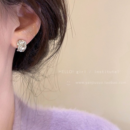 Korean niche exquisite zircon earrings for women, new Western-style earrings, light luxury, high-end, versatile and popular earrings