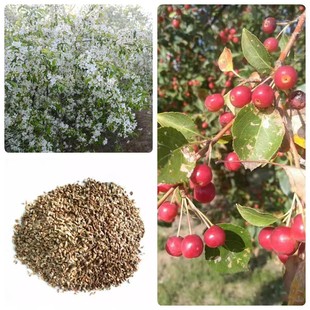 ���lɢ�b�²�ɽ���ӷN��ɽ���ӷN�����G��ɽ�G�����󃞻ݸ߳�ѿ��