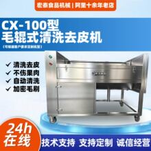 CX-100型毛辊式清洗去皮机不锈钢土豆芋头萝卜脱皮机 苹果清洗机