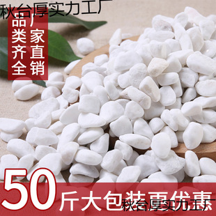 Landscaping Stone Paving White Pebbles Large Courtyard Landscape White Pebbles Small White Stones Packed 50 Pebbles Paving