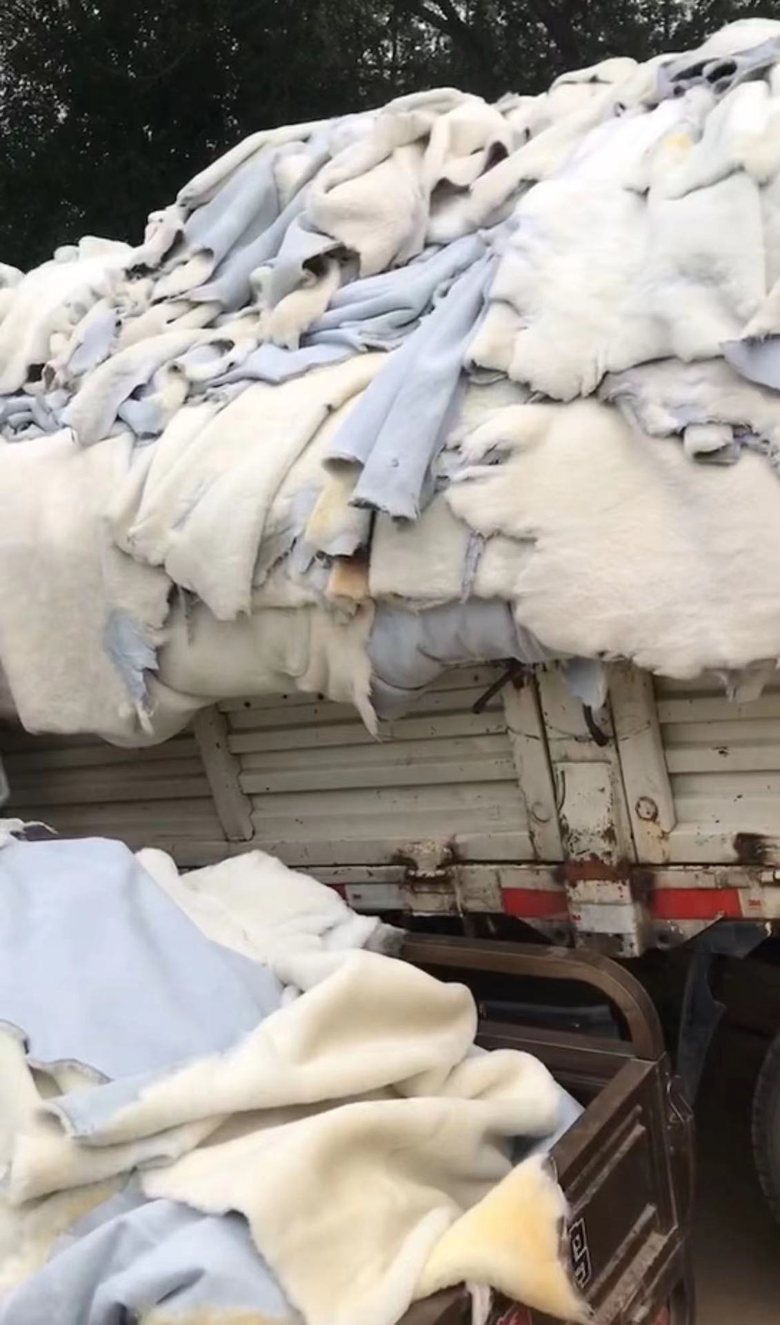 微信图片_20240623214144