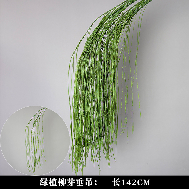Hanging green willow buds