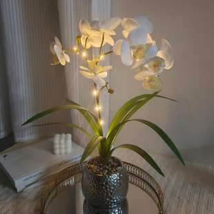led����������mСҹ���҃ȷ��滨���Շ�����늿�^Сҹ�����l