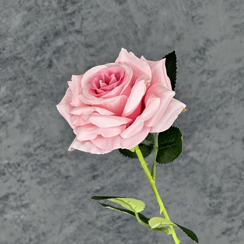 Rosa y morado