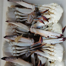 舟山切蟹梭子蟹蟹股蟹块新鲜鲜活冷冻切割蟹螃蟹制品海鲜水产批发