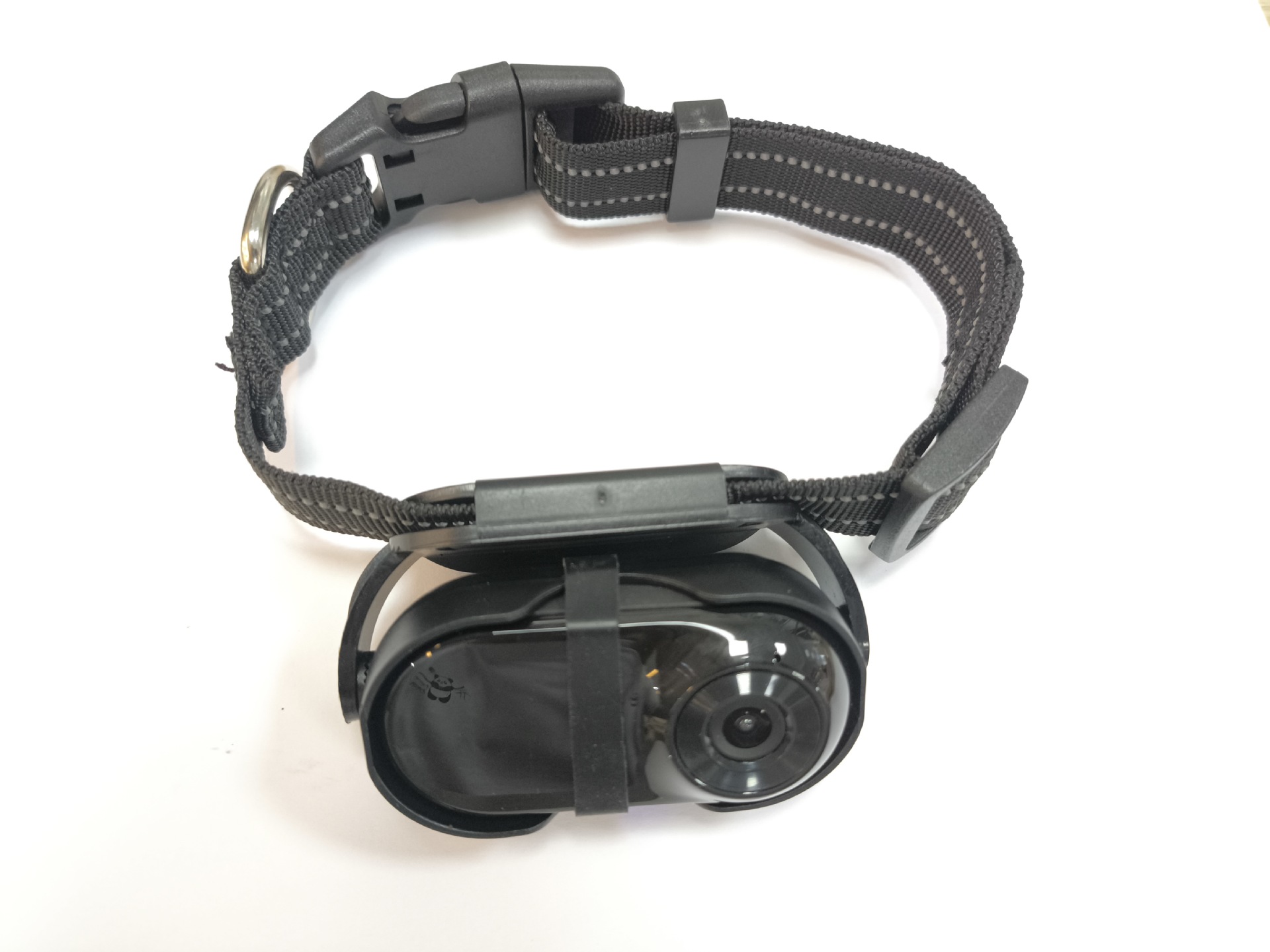 Nylon pet collar (without camera)