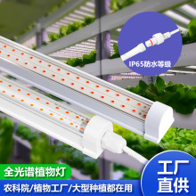 ��ˮLEDֲ�����L����̫ꖹ�ȫ���V�����߲��҃�����T8һ�w�a���