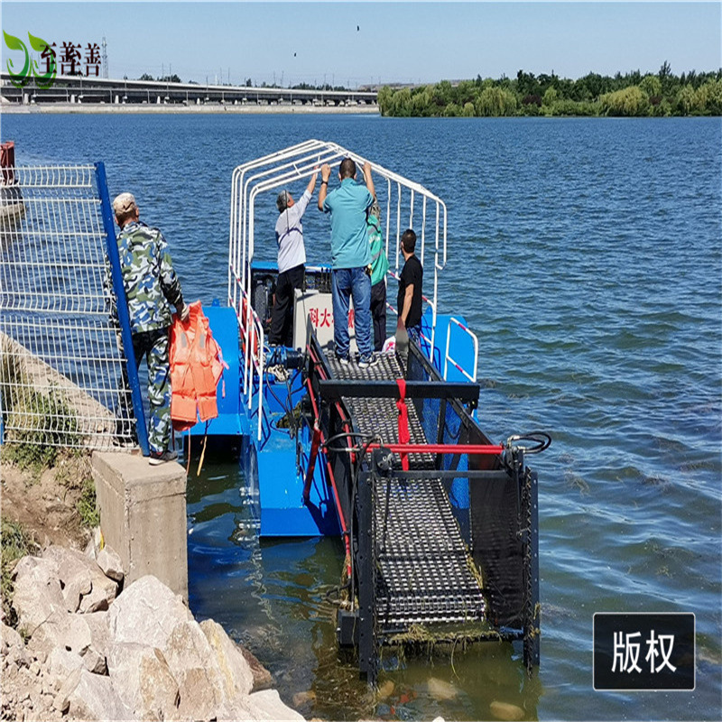 吉林小型公园半自动割草船 水花生打捞船 蒲草水生植物捞草船