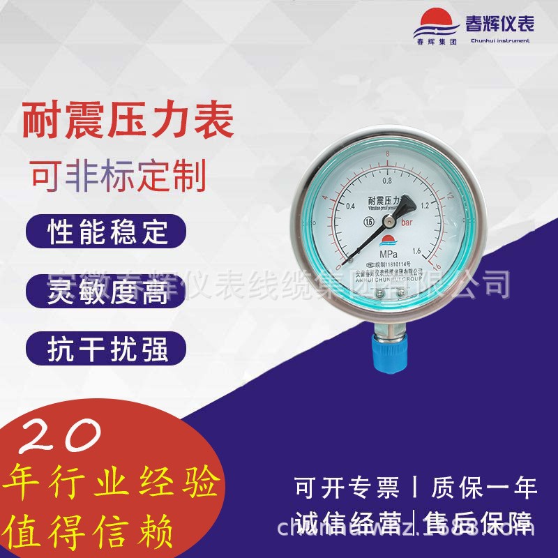 YTPN-100  YTPN-100B   耐震压力表 隔膜 真空  规格型号齐全