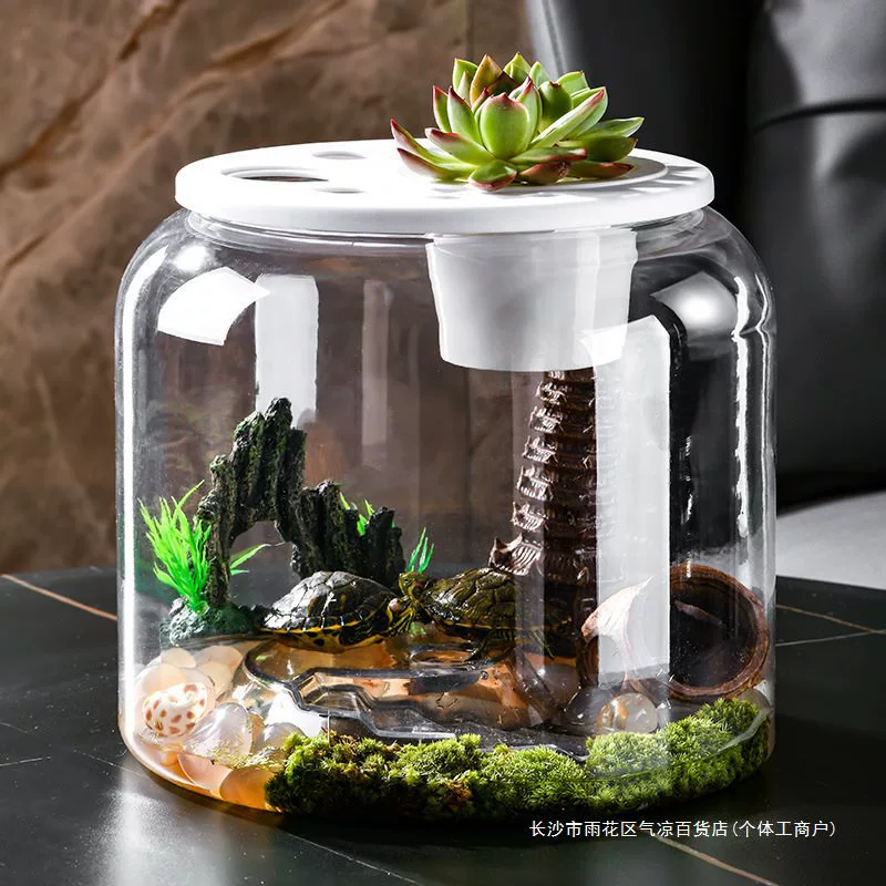 Plastic turtle breeding cylinder micro -landscape hood living room transparent lid lizard lizard climbing cylinder