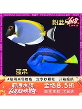 �{�����{����ˮ�~�^�p�~���wɺ����ˮ��С���~�����~�z�����w��