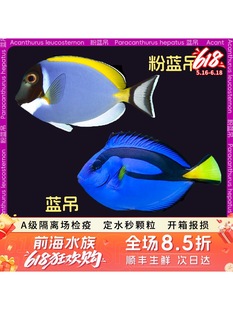 �{�����{����ˮ�~�^�p�~���wɺ����ˮ��С���~�����~�z�����w��