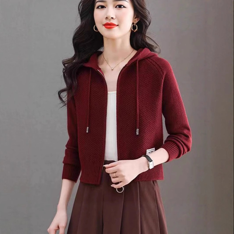Hooded Knitwear Women's Zipper Cardigan Spring & Fall Style with High-Waisted Pants Slimming Look Knitwear Loose Pure Color Jacket