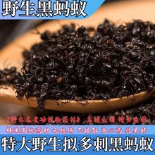正宗广西横县野生黑蚂蚁中药材500g拟黑多刺蚁正宗蚂蚁干黑蚂蚁粉