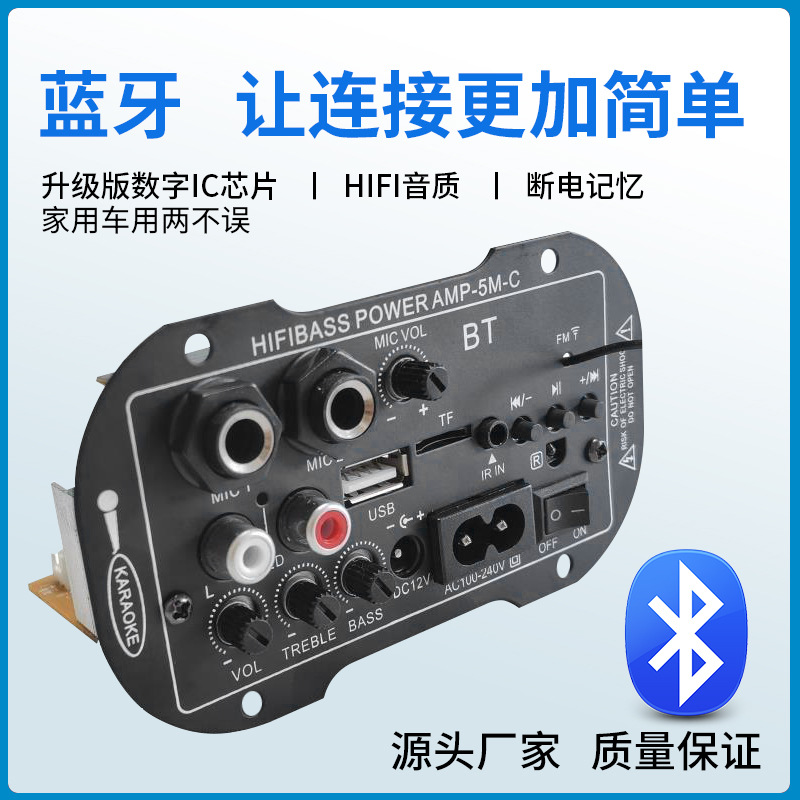Fábrica transfronteriza dedicada de 5 pulgadas 12V220V doble propósito dual MIC con BT coche amplificador digital tablero amplificador Accesorios